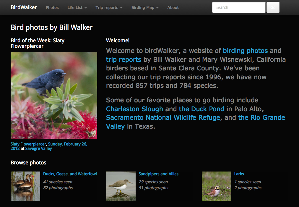 birdwalker3-screenshot.png
